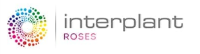 Interplant Roses B.V. logo